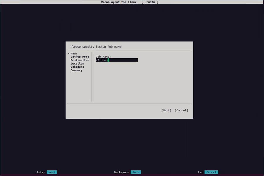 IDrive e2 with Veeam Standalone Linux