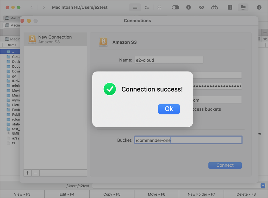Click OK after the connection is successfully established