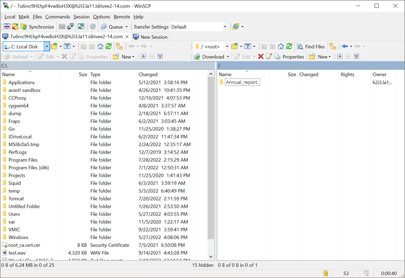 IDrive e2 with WinSCP